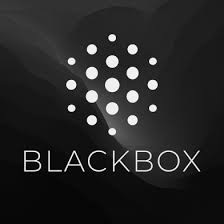 Logo Blackbox AI